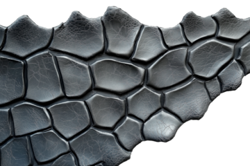 Faux-dinosaur skin in scaly gray isolated on transparent white background