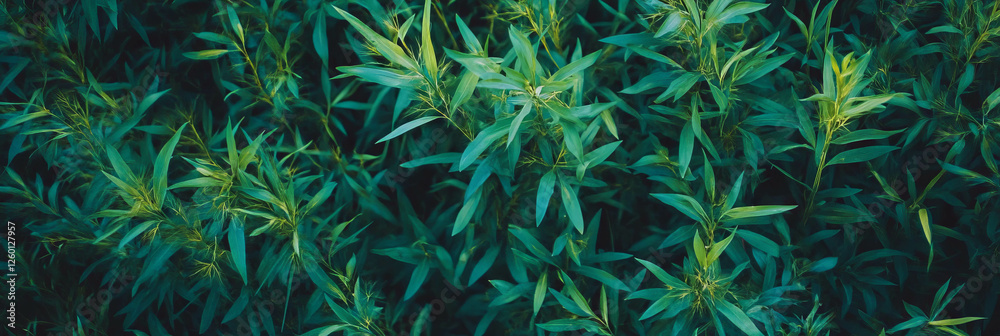 Aufkleber rough texture of dark green grass and weeds creating a wild pattern from a top view