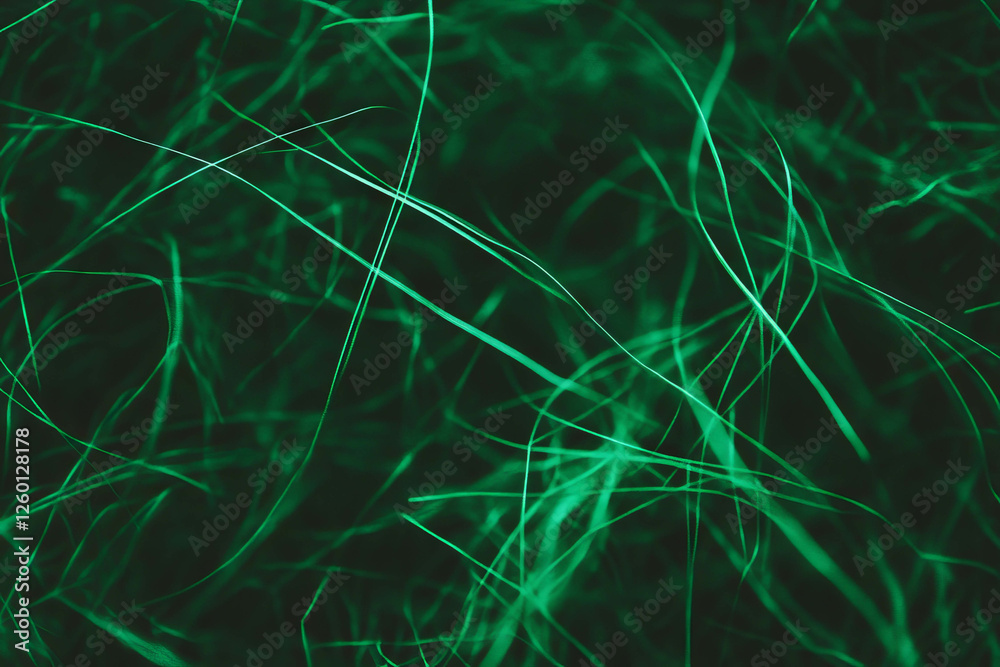Poster Dark green rough texture with tall grass and deep shadows in complex patterns of nature