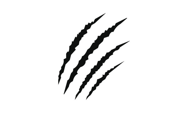 Animal silhouette claw paw marks, tiger, dog, lion, monster, scratches, talons cuts cat, tiger, isolated on transparent background. Vector