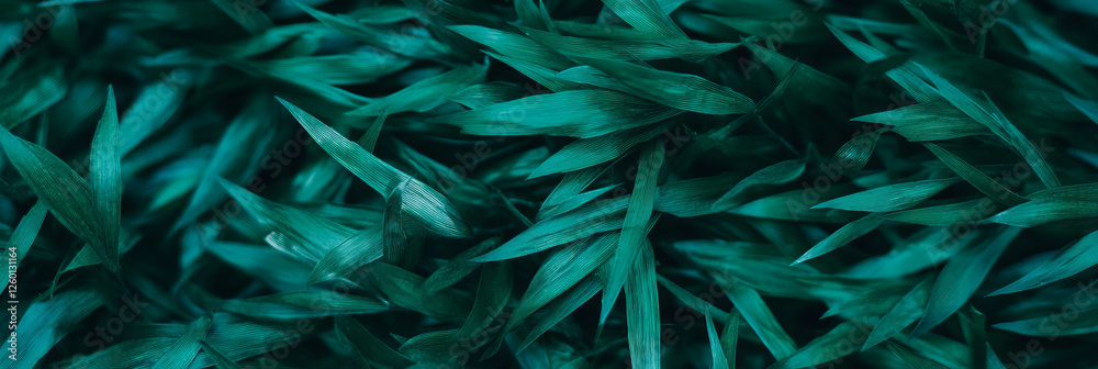 Fototapete dense green grass texture showing intricate interwoven patterns from a top view perspective