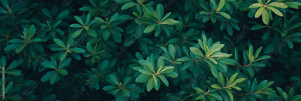Poster lush green grass texture viewed from above with soft details and even lighting