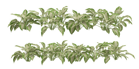 3D render flowers and shrubs with white background