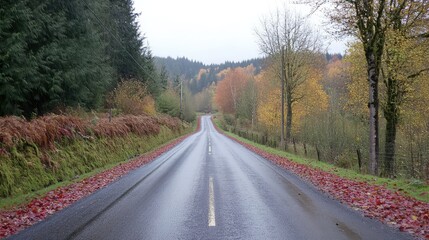 Fototapeta premium A two-lane countryside road cutting through autumn foliage, with golden and red leaves covering the ground.