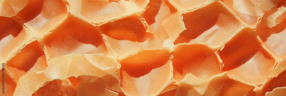 Poster Light brown cone wafer with unique grid texture and crumbly details on display