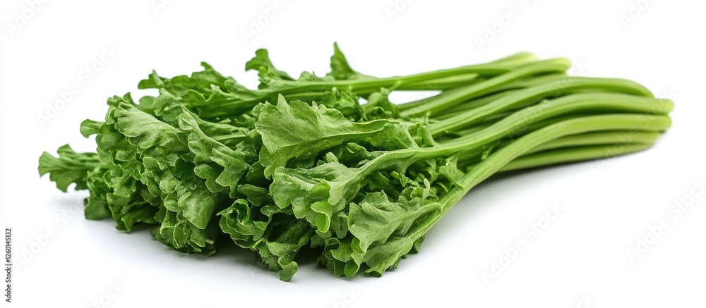 Poster vibrant green loroco fern vegetable arranged on a clean white backdrop showcasing its unique curvy s