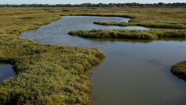 Natural area Marismas del R&iacute;o Piedras and Flecha del Rompido. Municipalities of Cartaya and Lepe. Andalusia. 4k slow motion video at 50 fps