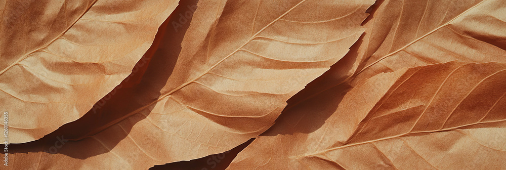 Poster texture of light brown paper with subtle leaf pattern and fine detailing throughout
