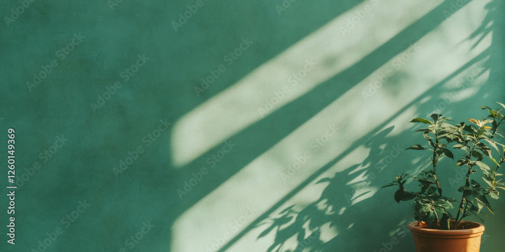 Poster light green wall texture with subtle grunge patterns and plant shadow in soft lighting
