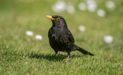 Obraz premium Generated image