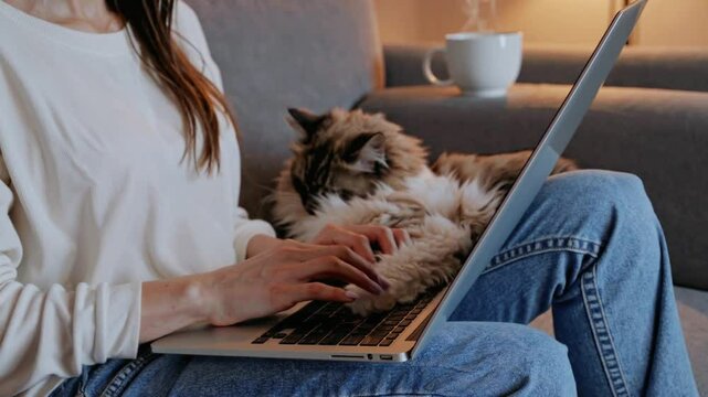 An unrecognizable young woman works on her laptop while relaxing in cozy chair, sipping coffee and chatting with her cat. Close-up. Comfortable freelancing, good enough.