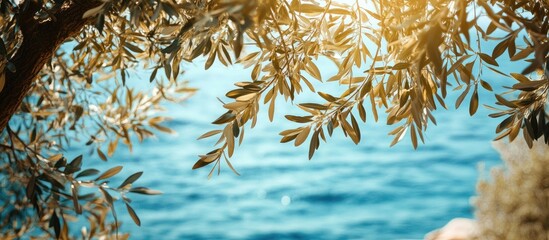 Olive tree leaves gently sway over a sparkling blue sea, with soft sunlight filtering through the branches, creating a serene coastal panorama.