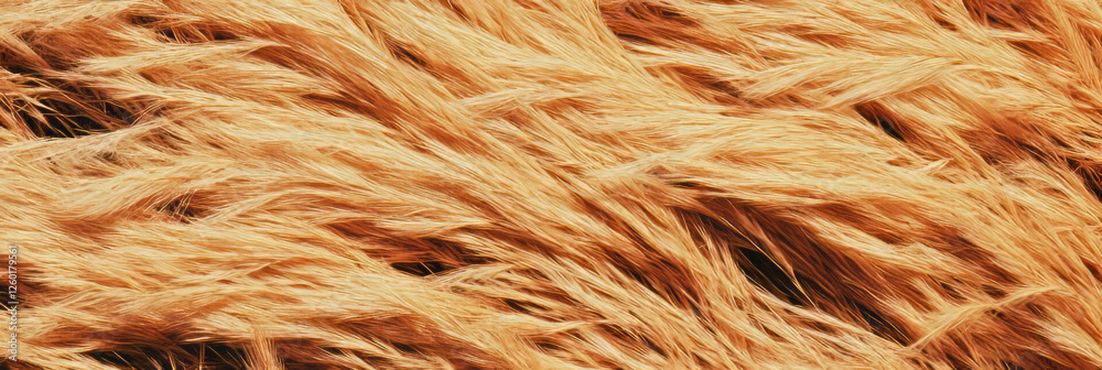 Poster short dry grass texture with yellowed tips showcasing natural patterns and sparse appearance