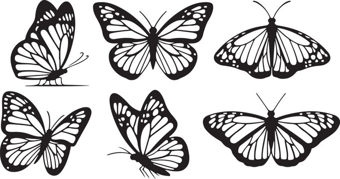 Fototapeta A collection of six stylized, black and white monarch butterfly silhouettes, suitable for design templates, logos, backgrounds, and nature-themed projects.