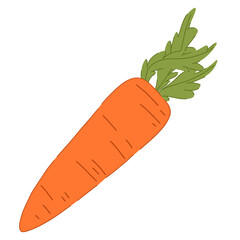 Simple vector illustration of a single carrot. Clean and minimalistic design with bright orange and green tones. Ideal for food packaging, recipe books, icons, stickers and digital graphics