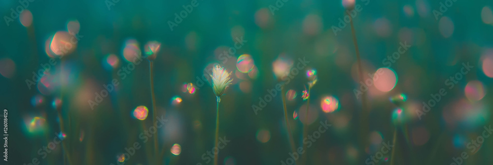 Poster soft diffused light highlights sparse bokeh distribution in a serene floral landscape