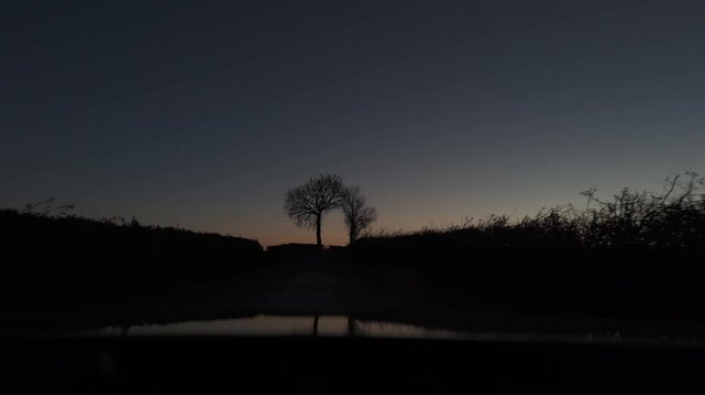 serene countryside road at dawn. The dark silhouettes of leafless trees stand against a deep blue sky, which gradually transitions to a warm orange glow near the horizon. The setting appears peaceful