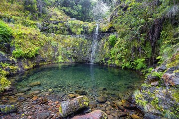 Small waterfall at Levada do Furado, Madeira, Portugal, Europe.