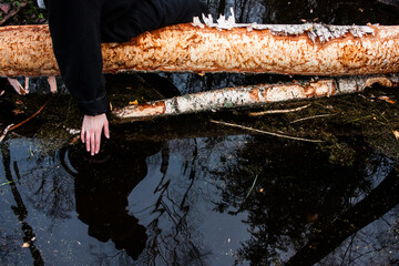 Hand Touching Water with Reflection in a Forest Setting