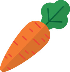 Carrot vector illustration flat design 