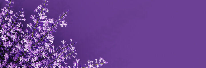 Spring banner. Purple spring flowers on purple background with copy space. 3D Rendering, 3D...
