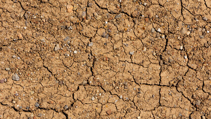 dried soil. drought-cracked lake floor photos