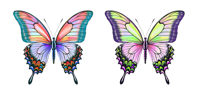 Sunset & Neon Swallowtail Butterflies &ndash; Vibrant Fantasy Winged Art