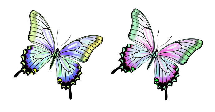 Swallowtail & Green-banded Butterfly Illustration &ndash; Vibrant Fantasy Winged Insects for Graphic Design & Decor