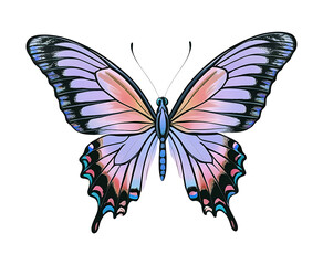 Celestial Swallowtail Butterfly – Elegant Fantasy Winged Art
