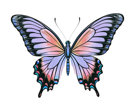 Celestial Swallowtail Butterfly &ndash; Elegant Fantasy Winged Art
