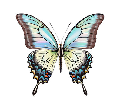 Lunar Swallowtail Butterfly &ndash; Elegant Fantasy Winged Art