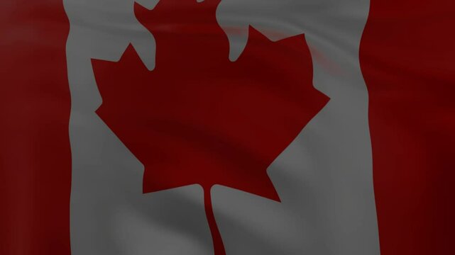 Full frame 3d canadian flag waving with low opacity