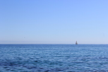 Fototapeta premium a small white sail boat went out to sea on a clear sunny day