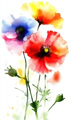 Colorful watercolor poppies on white background, ideal for art prints and designs