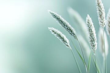 Fototapeta premium Delicate blades of soft-focus grass shimmer with water droplets, set against a warm neutral background. This minimalist composition evokes a sense of peace and tranquility in nature