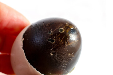 Century Egg: A Culinary Delicacy