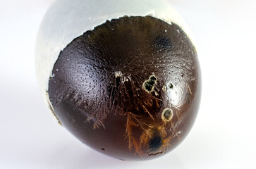 Century Egg: A Culinary Delicacy