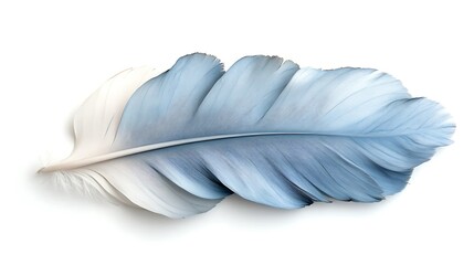 Naklejka premium Single blue feather, isolated, white background, design element