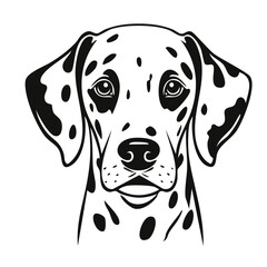 Set of hand drawn barking dalmatian dog head illustration design, Vector dalmatian breed dog face red eyes yellow eyes isolated on transparent background