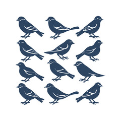 Fototapeta premium Birds Silhouette Clipart Set Vector Illustration Collection
