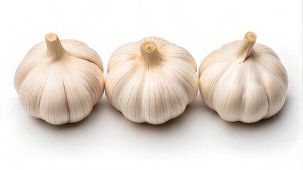 Garlic on white background