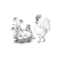 Hen, rooster, eggs, nest and flowers vector illustration hand drawn with ink and isolated on white background. Graphic sketch of chicken. For farm products and eggs packaging design