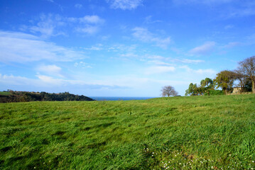 Horizonte marino tras pradera verde 