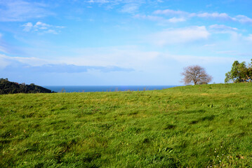 Horizonte marino tras pradera verde 