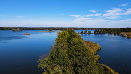 trees in water view from above lake