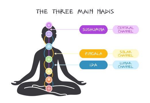 The Three Main Nadis Infographic
