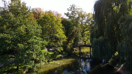 japanese garden landscape top view