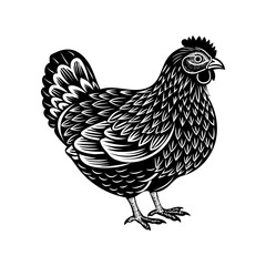  A black and white vector linocut-stile illustration featuring a hen