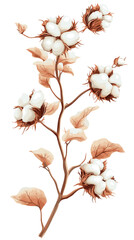 A white cotton plant. Cotton wool on a branch The ripe fruit of a cotton plant. Vector illustration isolated on a white background
