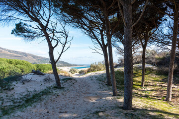 Dune road in Tarifa cadiz © MariaAuxiliadora